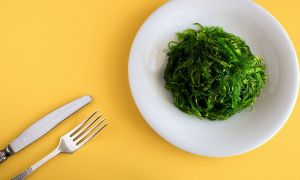 Alga espirulina